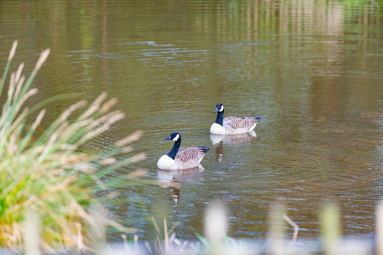 Our Goldfinch 1- Sleeps 2 Persons- Private Hot Tub-Pet Friendly-Tranquil Holiday Away From It All Yet Not Far From St Austell- The Holiday Home Has One Bedroom, Living And Dining Area, Equipped Kitchen-Decking-Outdoor Furniture-Fishing Lakes And More Grampound Екстериор снимка